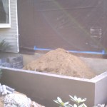 New foundation